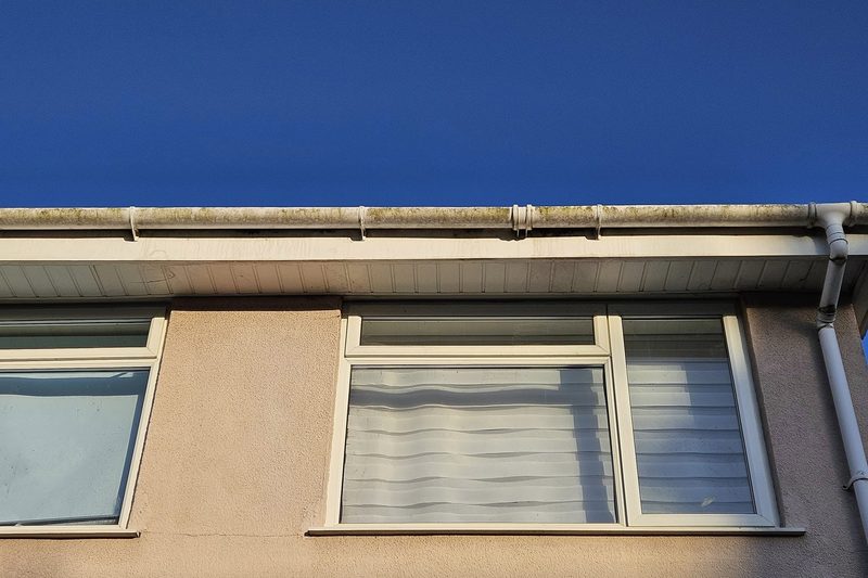 Guttering streaked with moss and green algae.